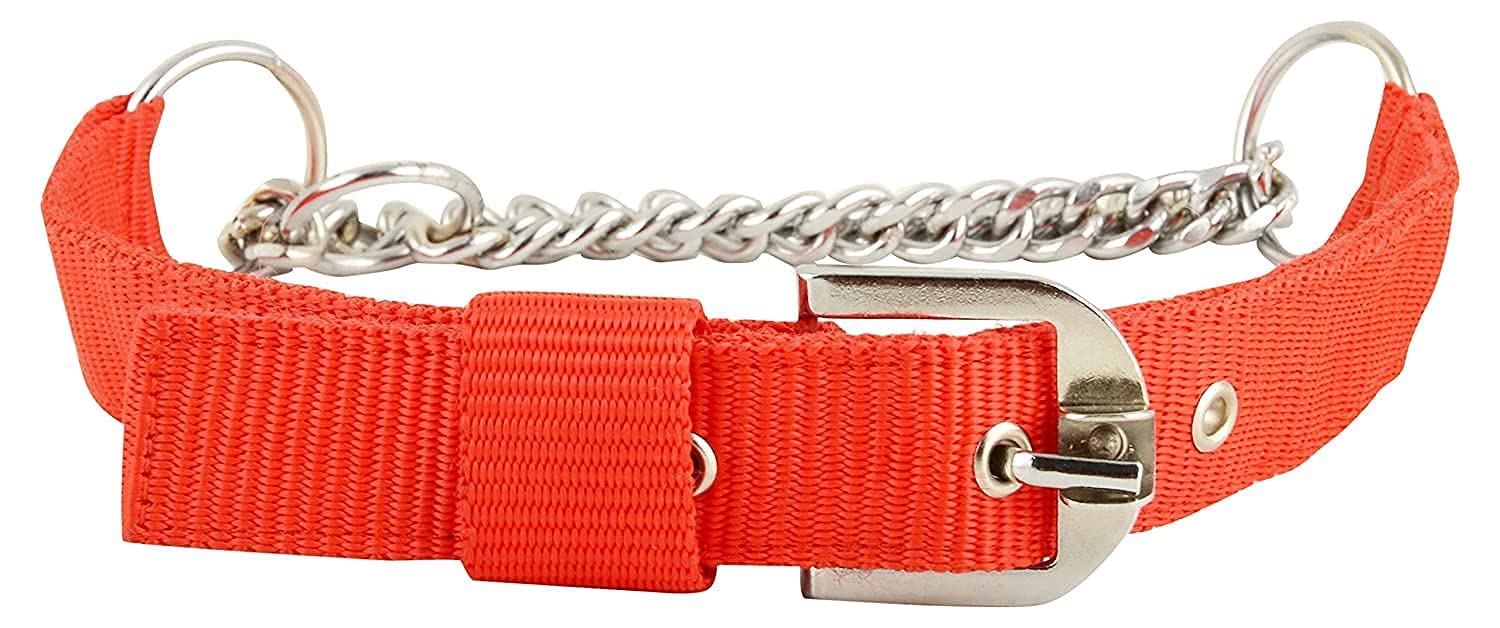 RvPaws Half Chain Dog Collar - 1 Inch Nylon & Stainless Steel Choke Collar for Medium to Large Dogs (Red) - Adjustable Training Collar for Walking, Obedience & Behavior Control