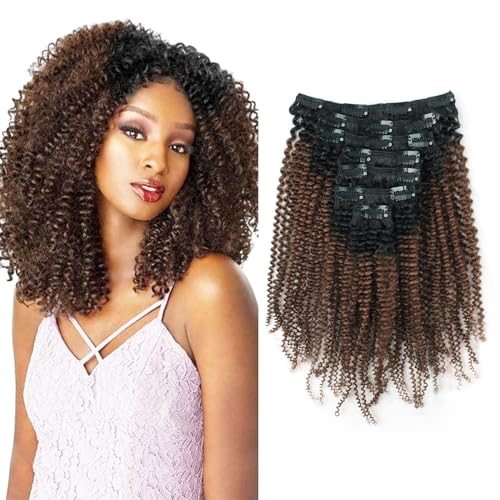 #1B/4(Afro Coily)