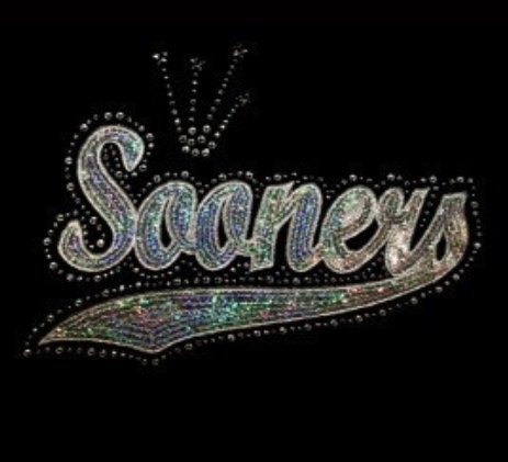 Silver Sequin and Rhinestone Iron-On Transfer for DIY Apparel - Perfect for T-Shirts, Jackets, and Costume Design
