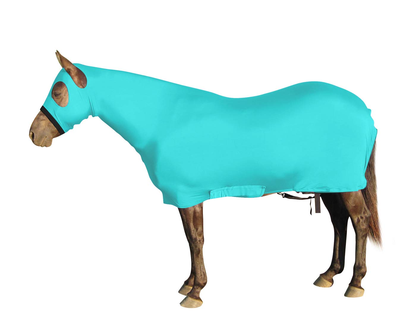 Breathable Lycra Full Body Horse Sheet with Neck Cover - Lightweight & Durable for Training, Riding & Show Performance
