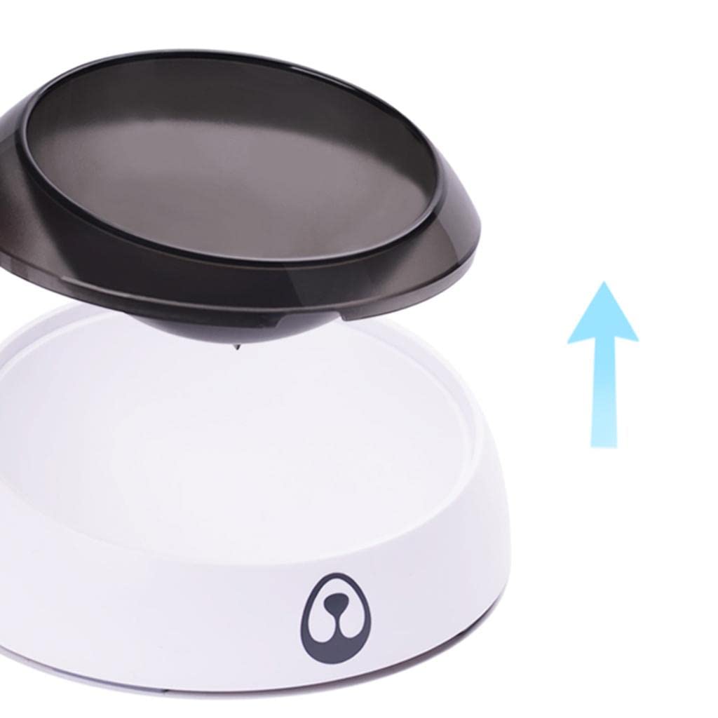 UJEAVETTE® Stainless Steel Pet Food and Water Bowl - Non-Slip Dog Cat Feeding Dish with Anti-Spill Design | Perfect for Indoor, Outdoor, Travel & Training Use