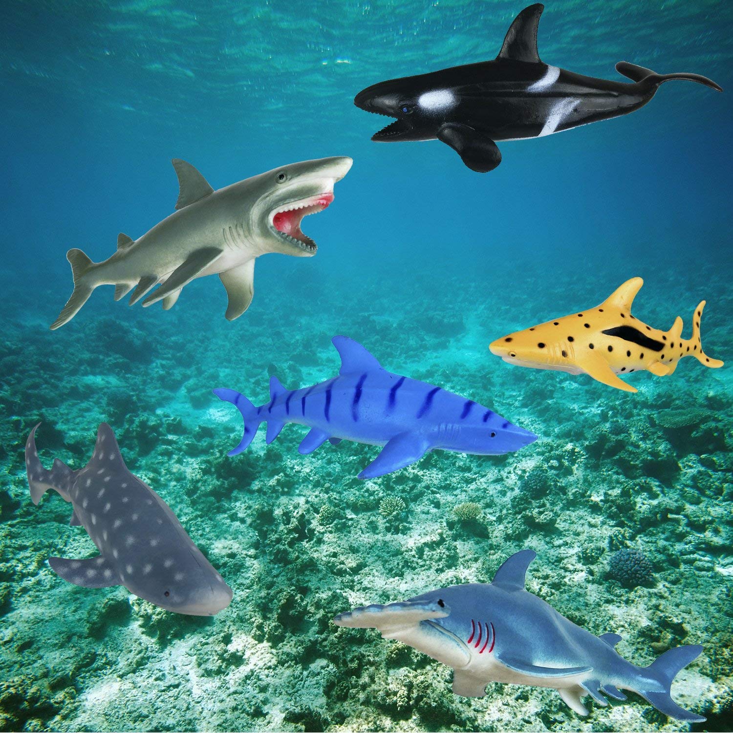 Shark Toys Figures - 6 Piece Ocean Animal Set, Plastic Sea Creatures for Kids, Aquatic Educational Toys, Perfect for Birthday Gifts & Underwater Playtime