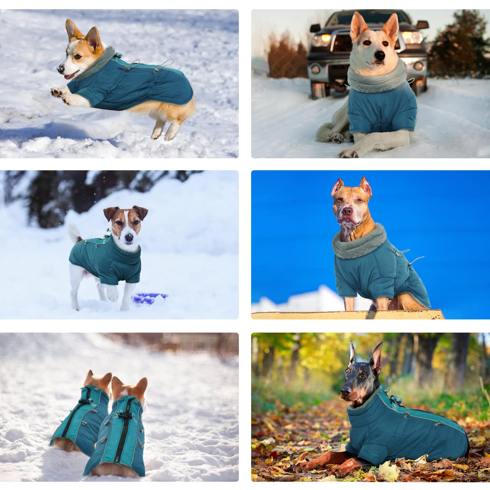 IDOMIK Waterproof Fleece-Lined Dog Coat with Harness - Warm Winter Snowsuit for Small, Medium & Large Dogs - High Collar Cold Weather Jacket in Turquoise XS - Perfect for Snowy Walks & Outdoor Adventures