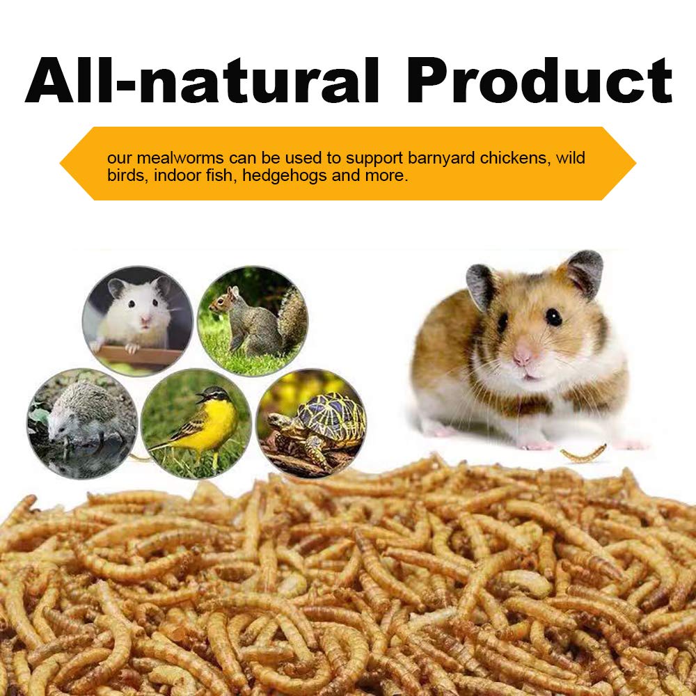 Premium Dried Mealworms 22Lbs Bulk - High Protein, 100% Non-GMO Natural Animal Feed for Birds, Chickens, Turtles, Fish, Hamsters & Hedgehogs - Perfect for Backyard Poultry, Wild Bird Feeding & Pet Nutrition
