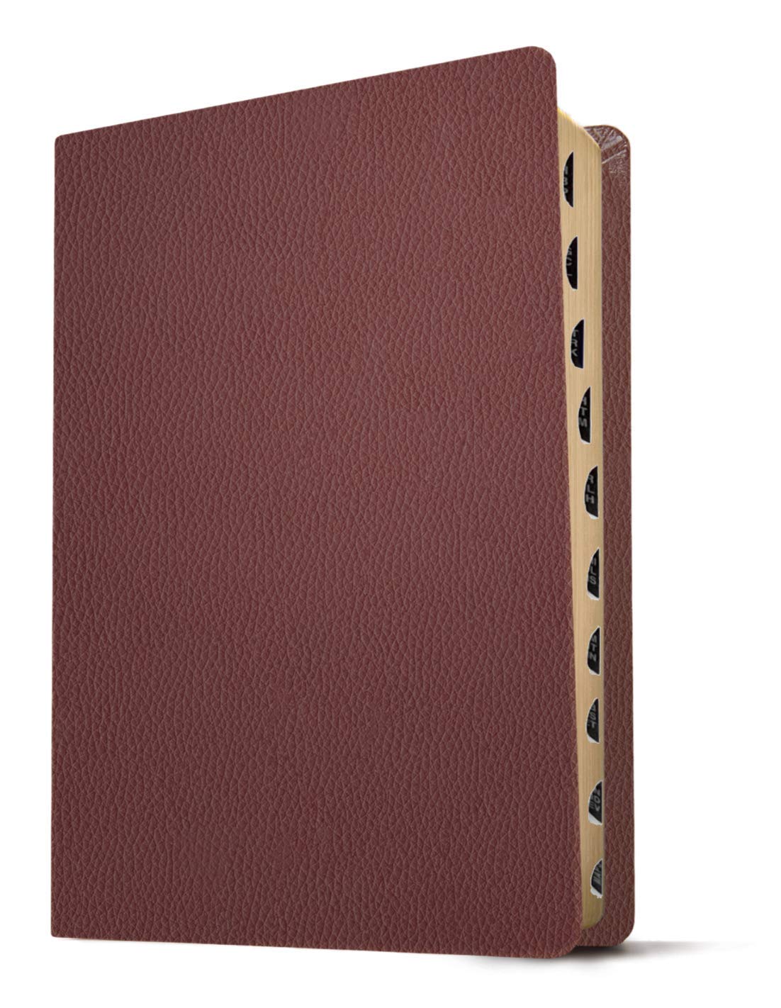 KJV Giant Print Bible - Genuine Leather, Burgundy | Red Letter Edition for Easy Reading & Worship