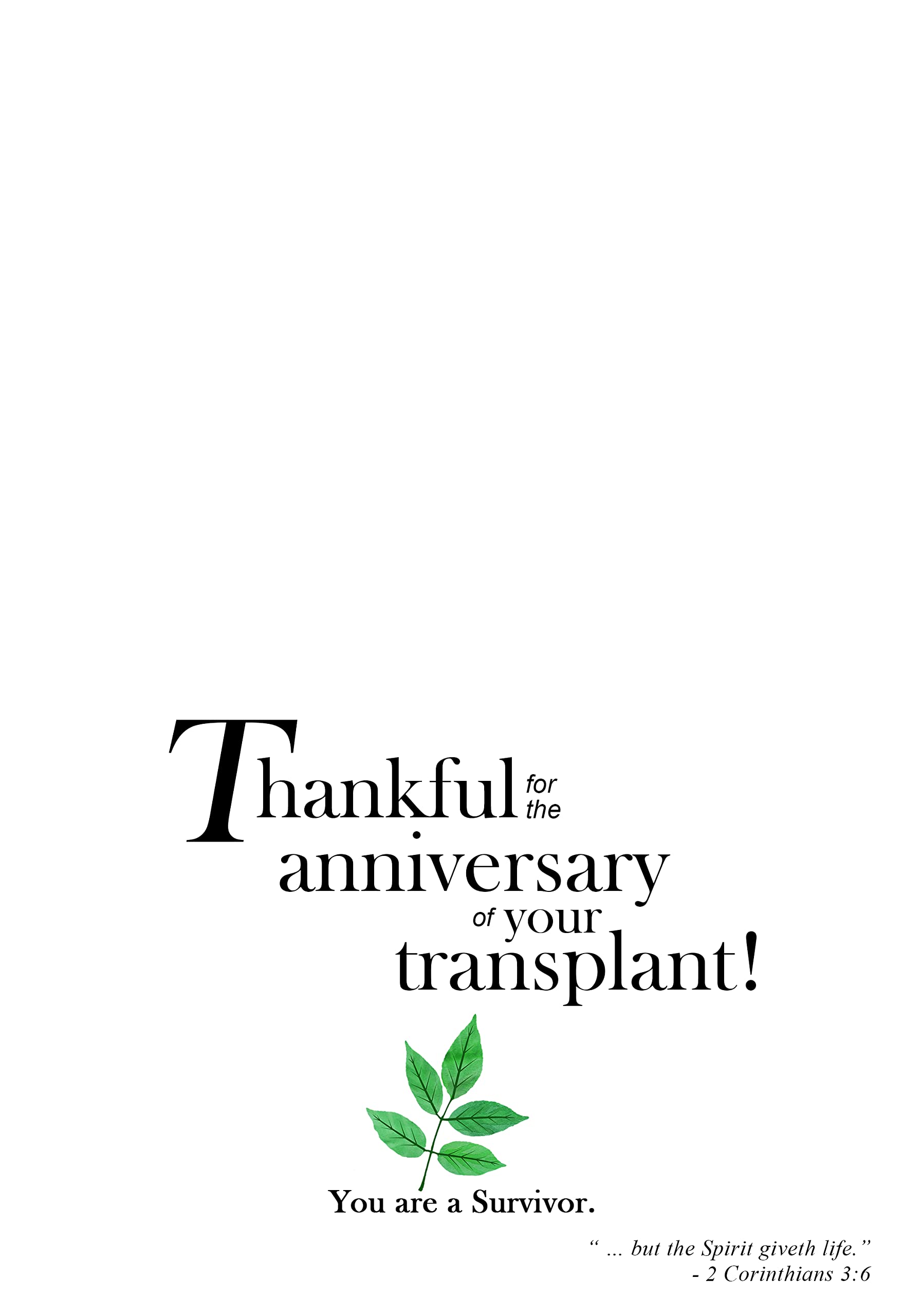 Beautiful Greeting Cards for All Occasions - Birthday, Christmas, Thank You & More | Perfect for Gifts, Parties & Special Moments