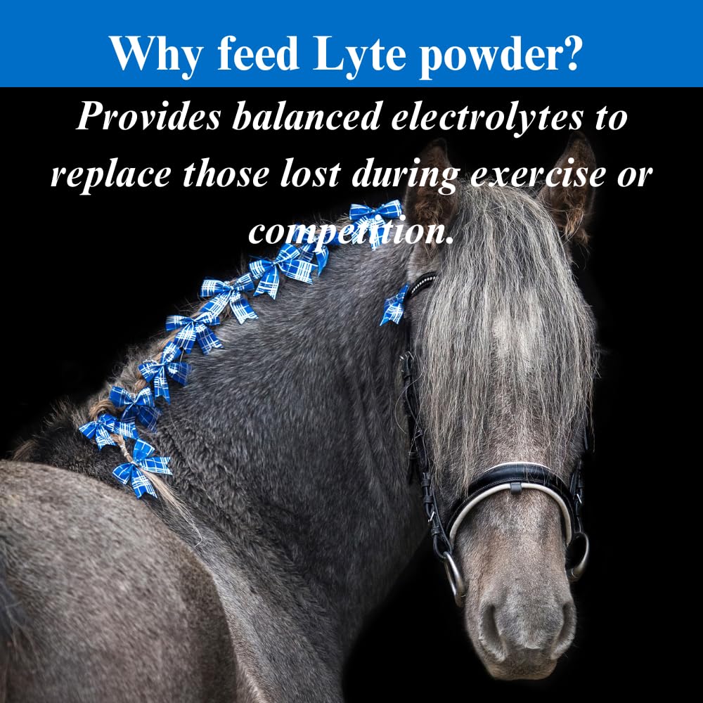 Lyte Horse Electrolyte Supplement for Performance Horses - 20lb (5 Month Supply) - Maintains Normal Body Fluid Levels & Replenishes Minerals - Ideal for Training, Racing, and Hot Weather Recovery