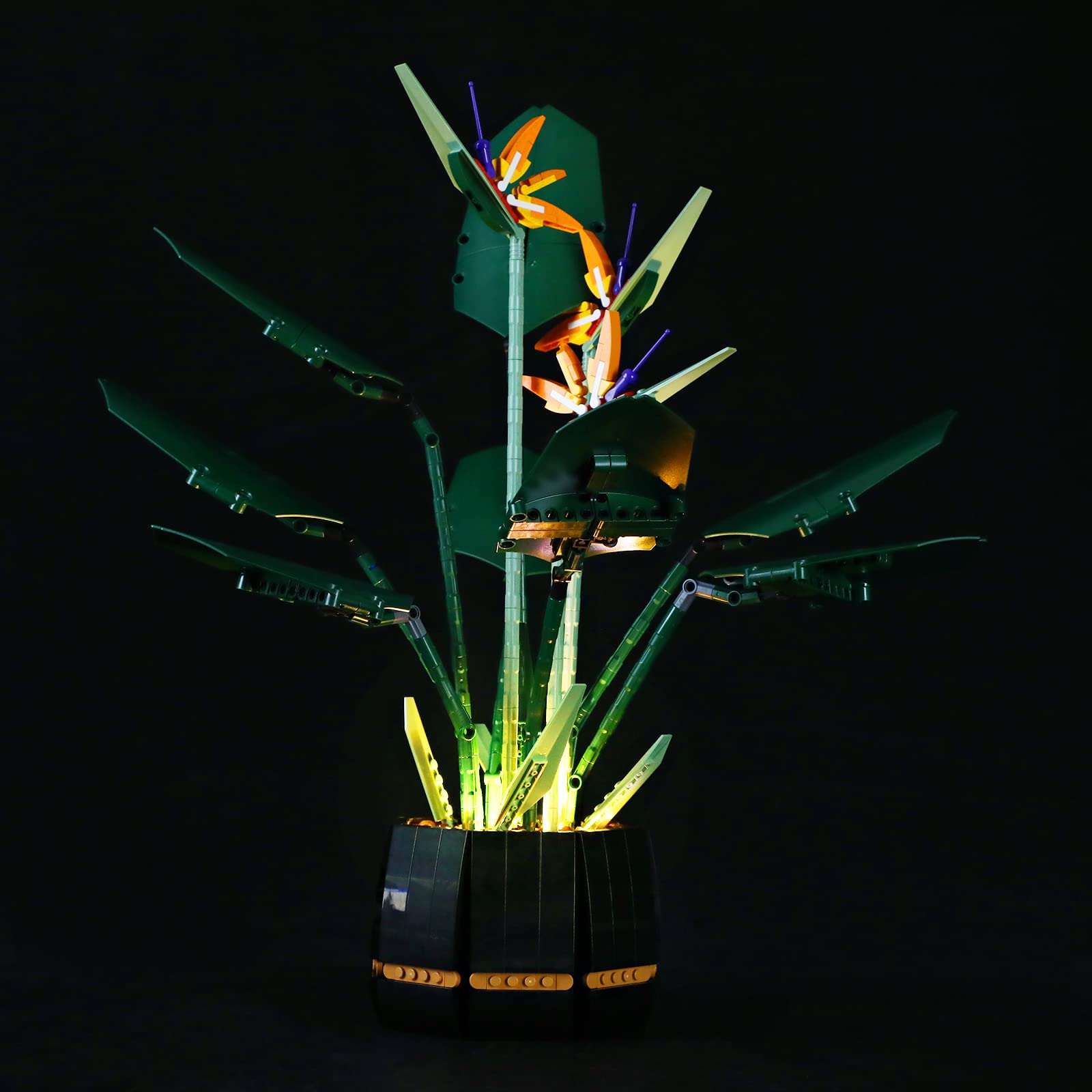 GEAMENT LED Light Kit for Lego Creator 10289 Bird of Paradise Building Set - Compatible with Paradise Flower Model (Bricks Not Included) - Perfect for Home Decoration & Gift Giving