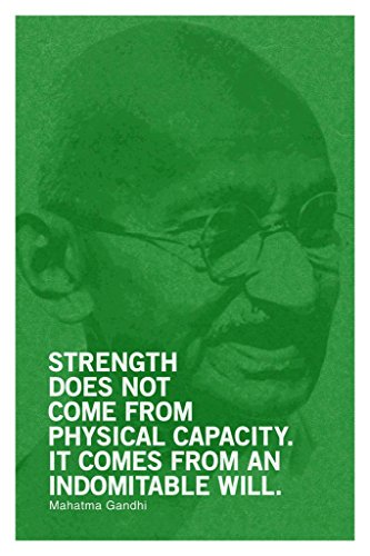 Gandhi Green | 9892