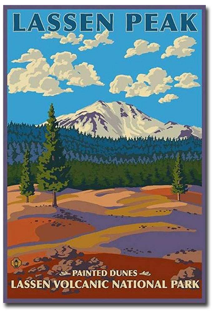 Lassen Volcanic National Park Souvenir Fridge Magnet - 2.5