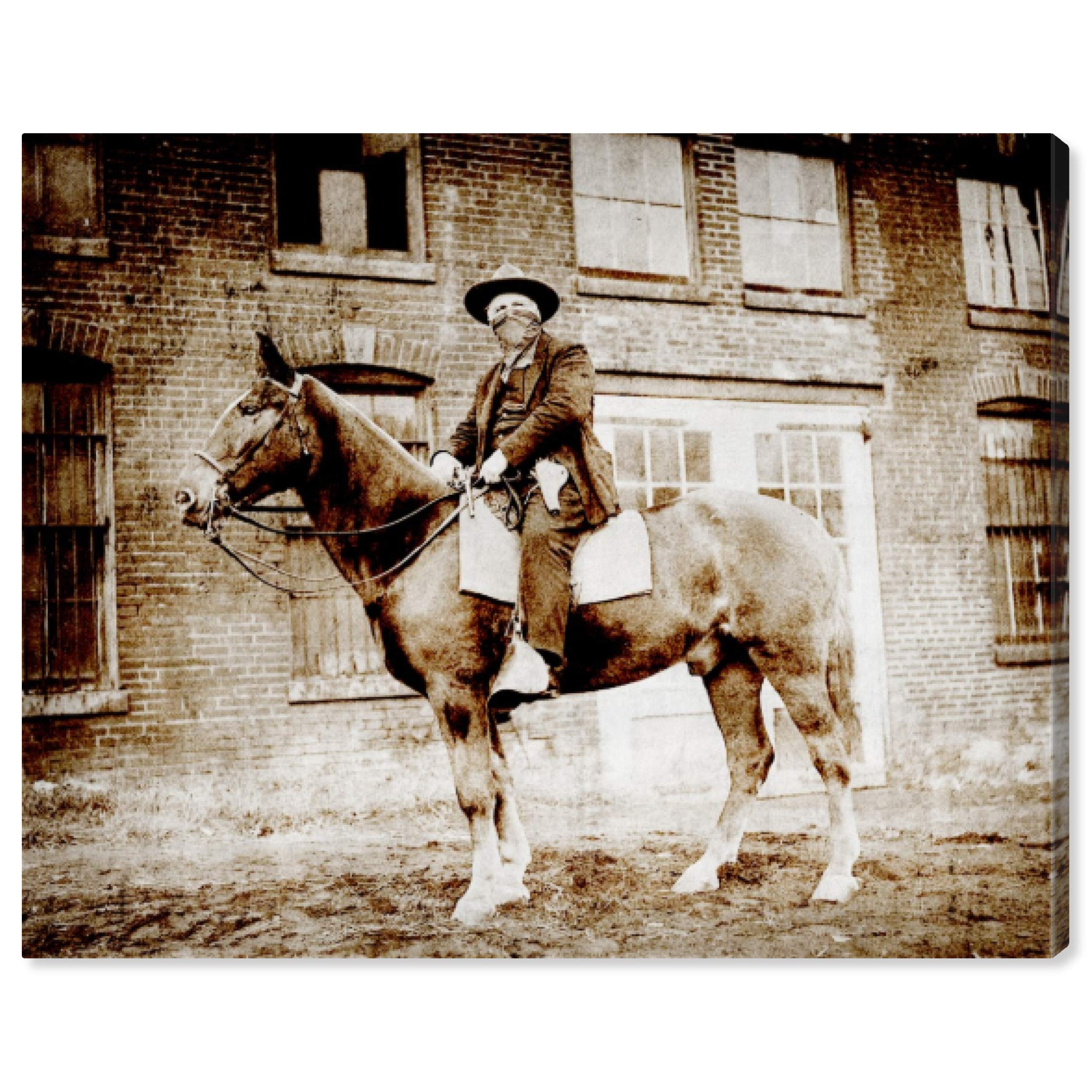 Oliver Gal Artist Co. 'Mr Outlaw' Animal Wall Art Canvas Print - 24x20 Inches Brown & White Home Decor - Perfect for Living Room, Bedroom or Office