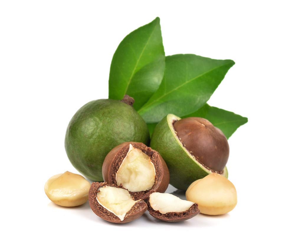 Bulk Raw Macadamia Nuts (5 lbs) - Unsalted, Gluten-Free, No Artificial Colors, Flavors or Preservatives - Wholesale Commercial Food Supply - Perfect for Baking, Snacking & Healthy Recipes