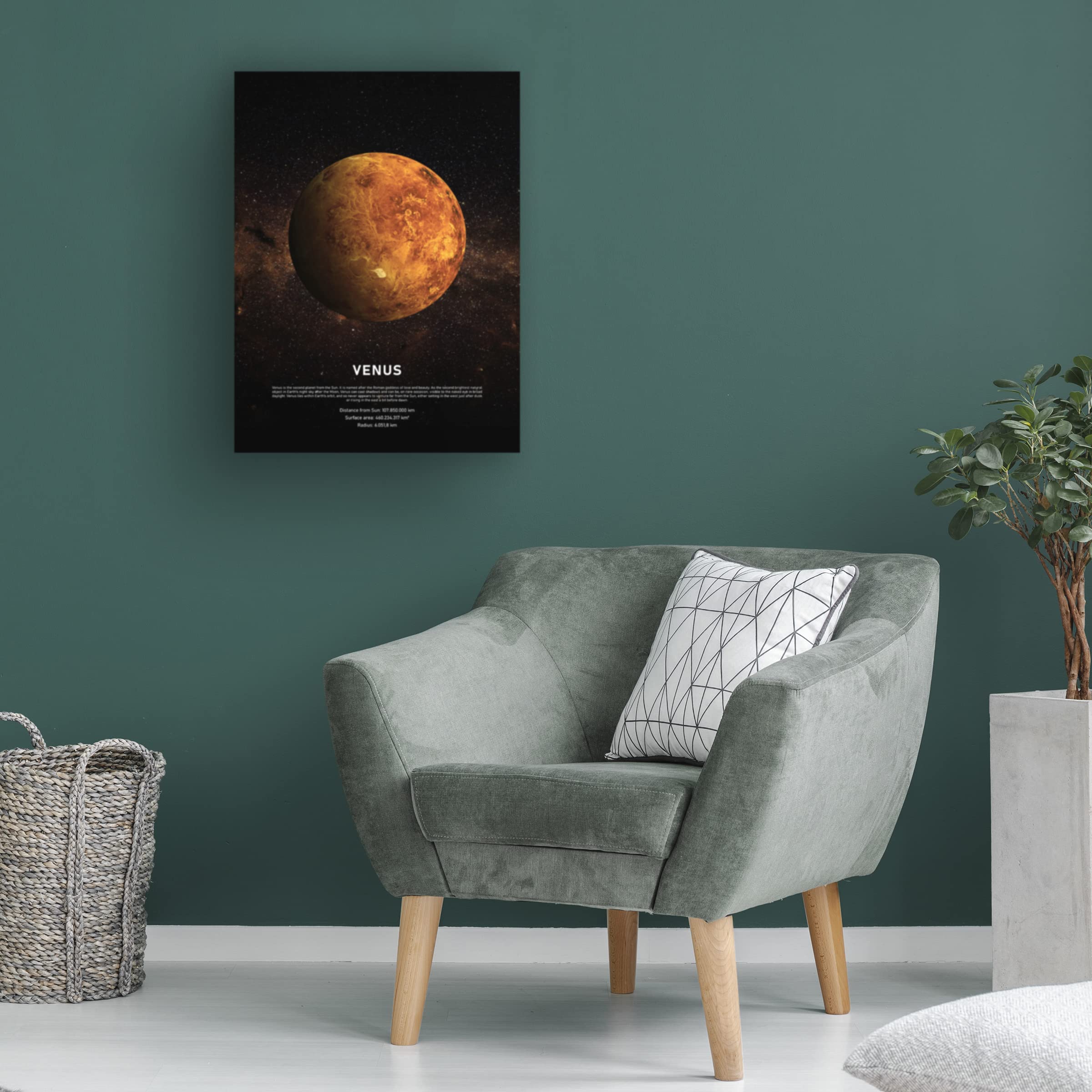Trademark Fine Art 'Venus' Canvas Wall Art by Design Fabrikken - Perfect for Living Room, Bedroom & Office Decor