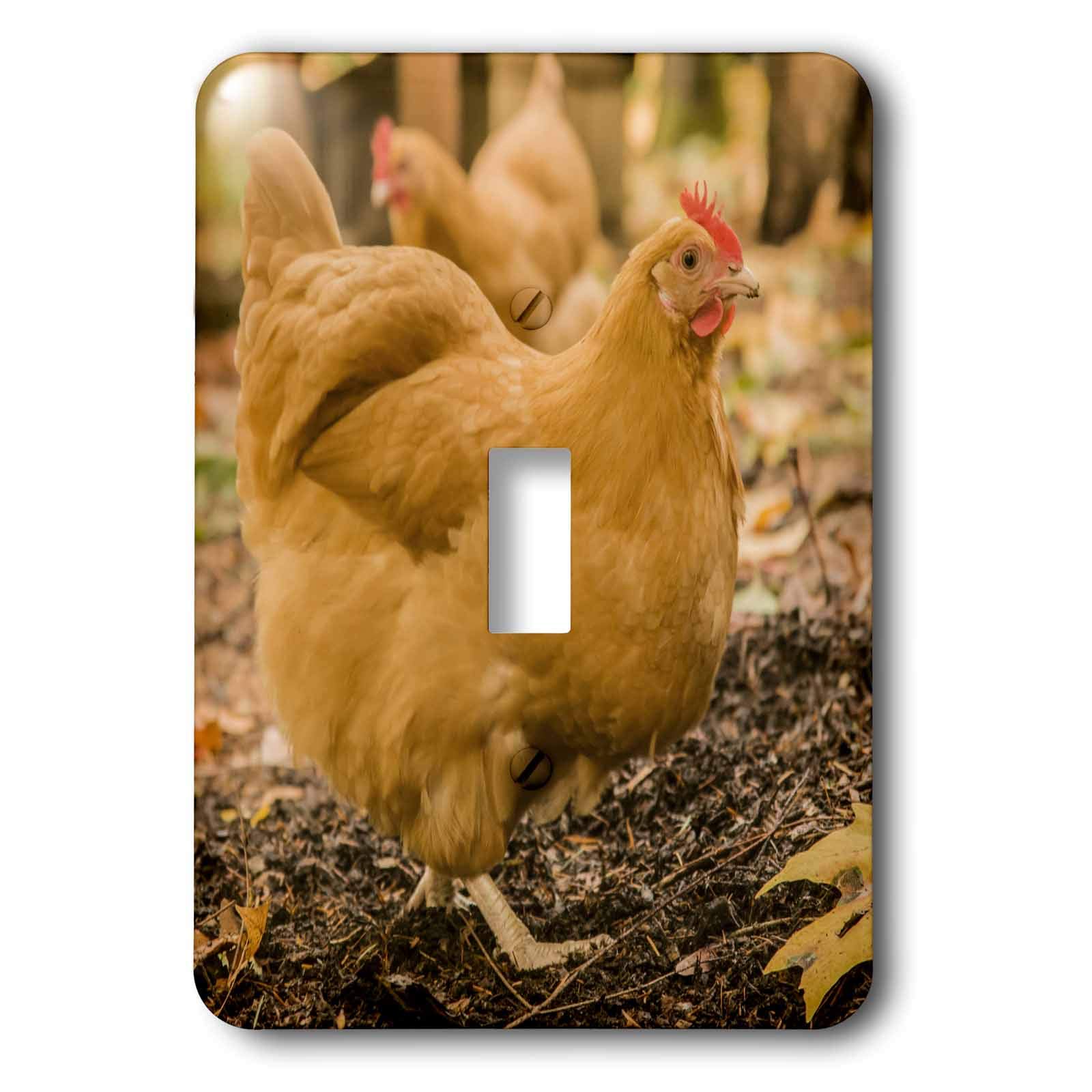 3D Rose Free-Ranging Buff Orpington Chickens Light Switch Cover - Decorative Wall Plate for Home, Kitchen, Bedroom & Farmhouse Decor