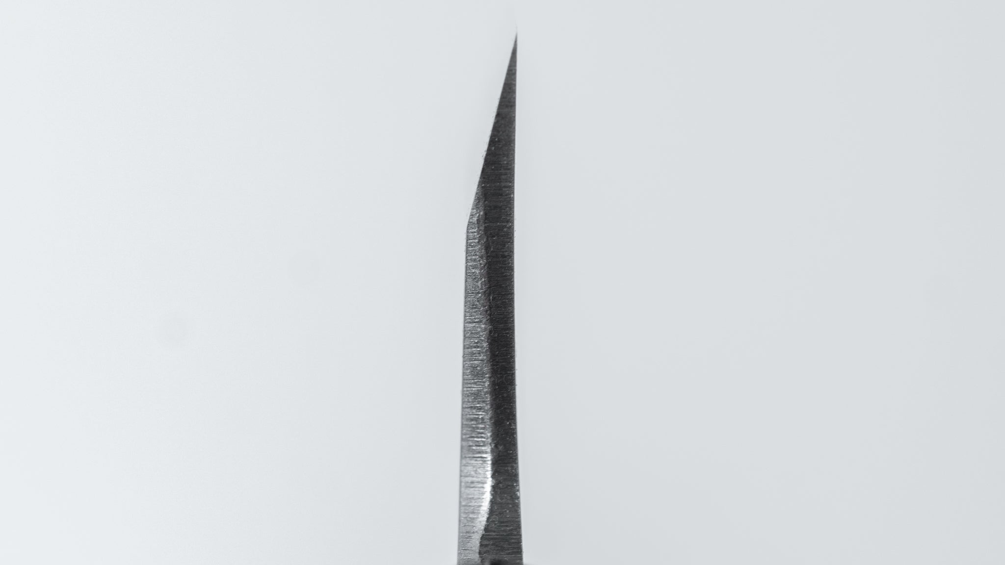 Hitohira Togashi White #2 Deba Knife 120mm - Japanese Chef Knife with Ho Wood Handle (D-Shape & Saya Included) - Perfect for Sushi, Filleting Fish & Precision Cutting