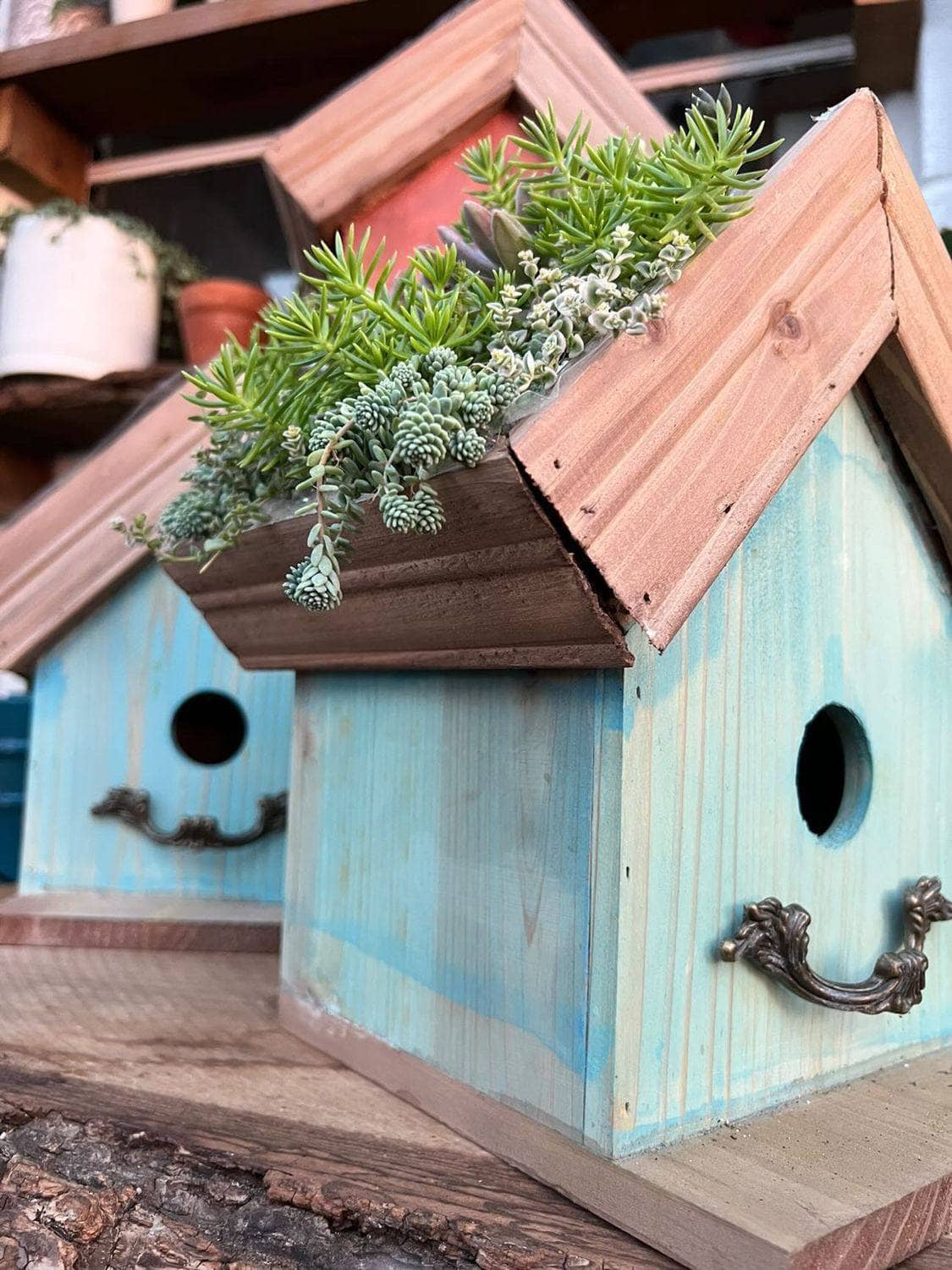 Eco-Friendly Blue Amber Plantable Birdhouses for Garden & Outdoor Decor - Attract Birds & Grow Wildflowers