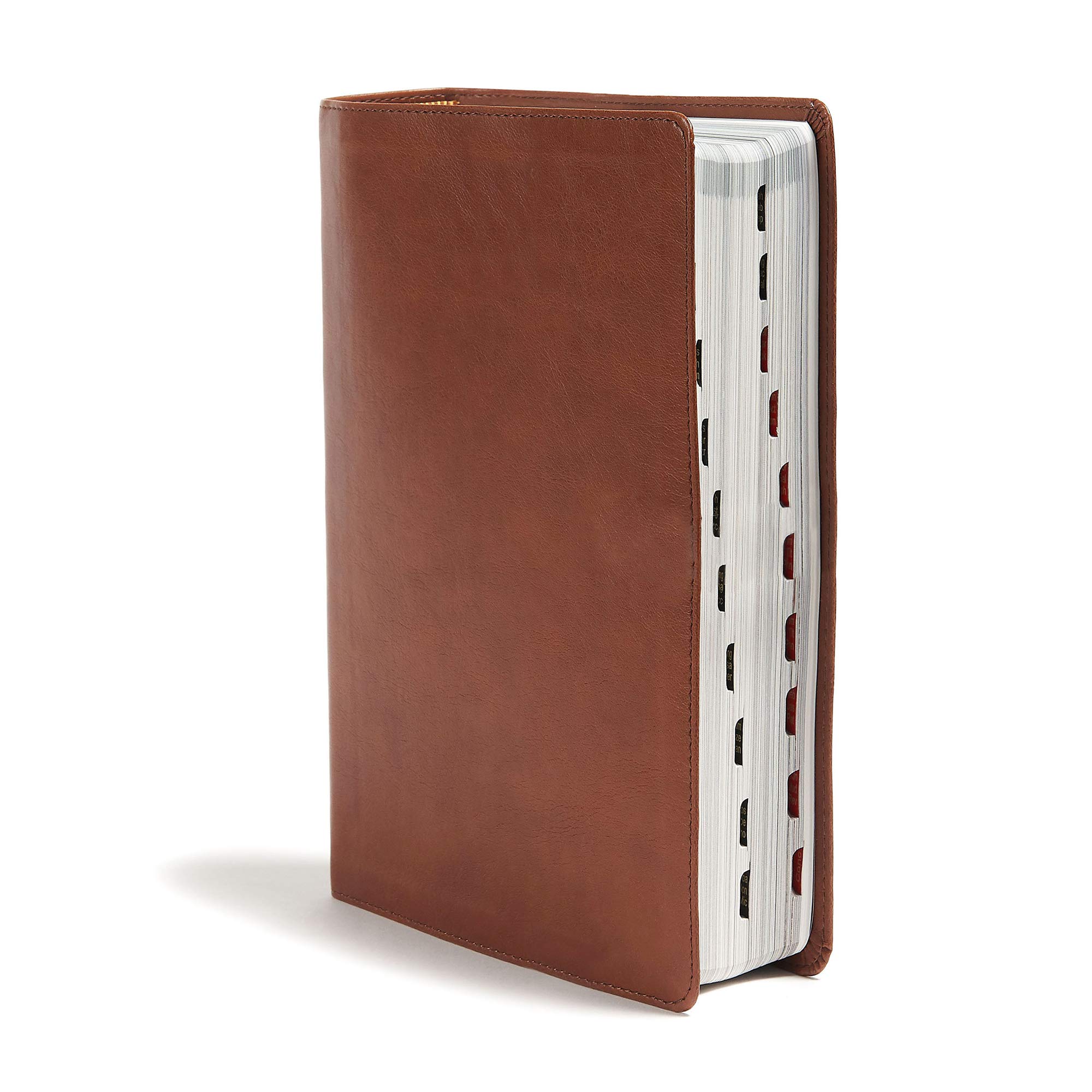 Holy Land Illustrated Bible - LeatherTouch, Indexed, Full-Color | Perfect for Bible Study & Travel