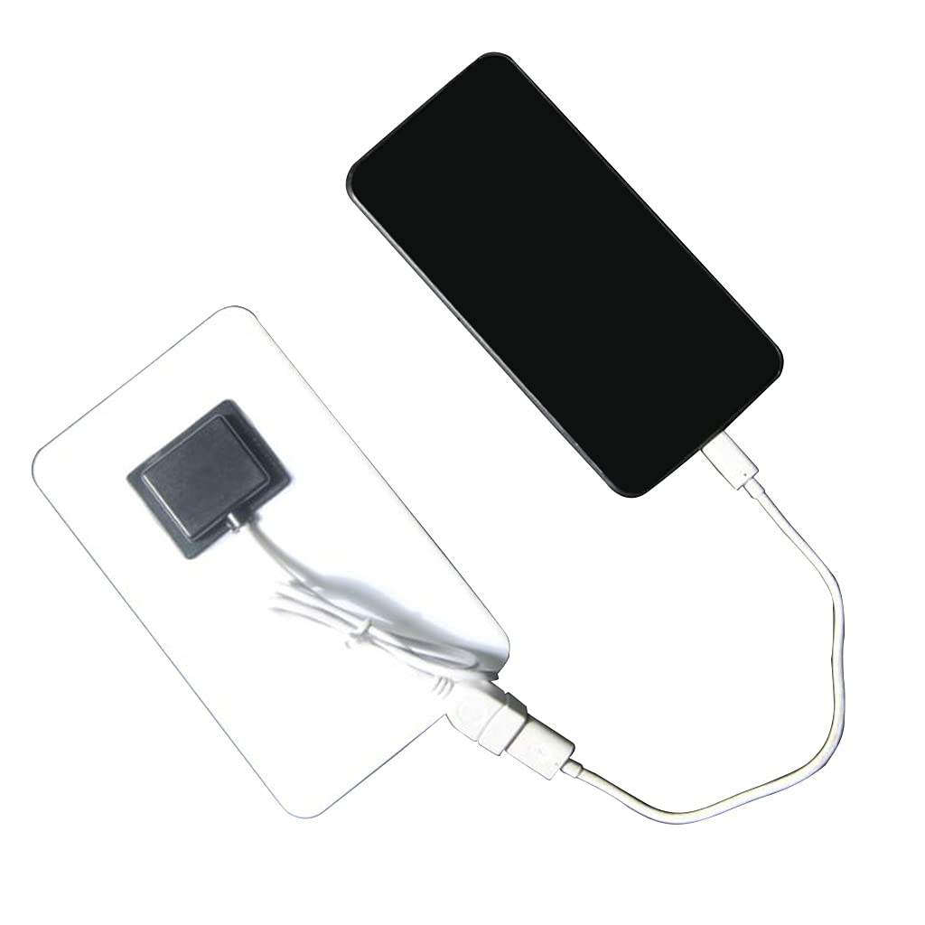 2W Portable Solar Panel with USB Output - Lightweight & Flexible Solar Charger for Phones, Camping, Hiking & Outdoor Activities