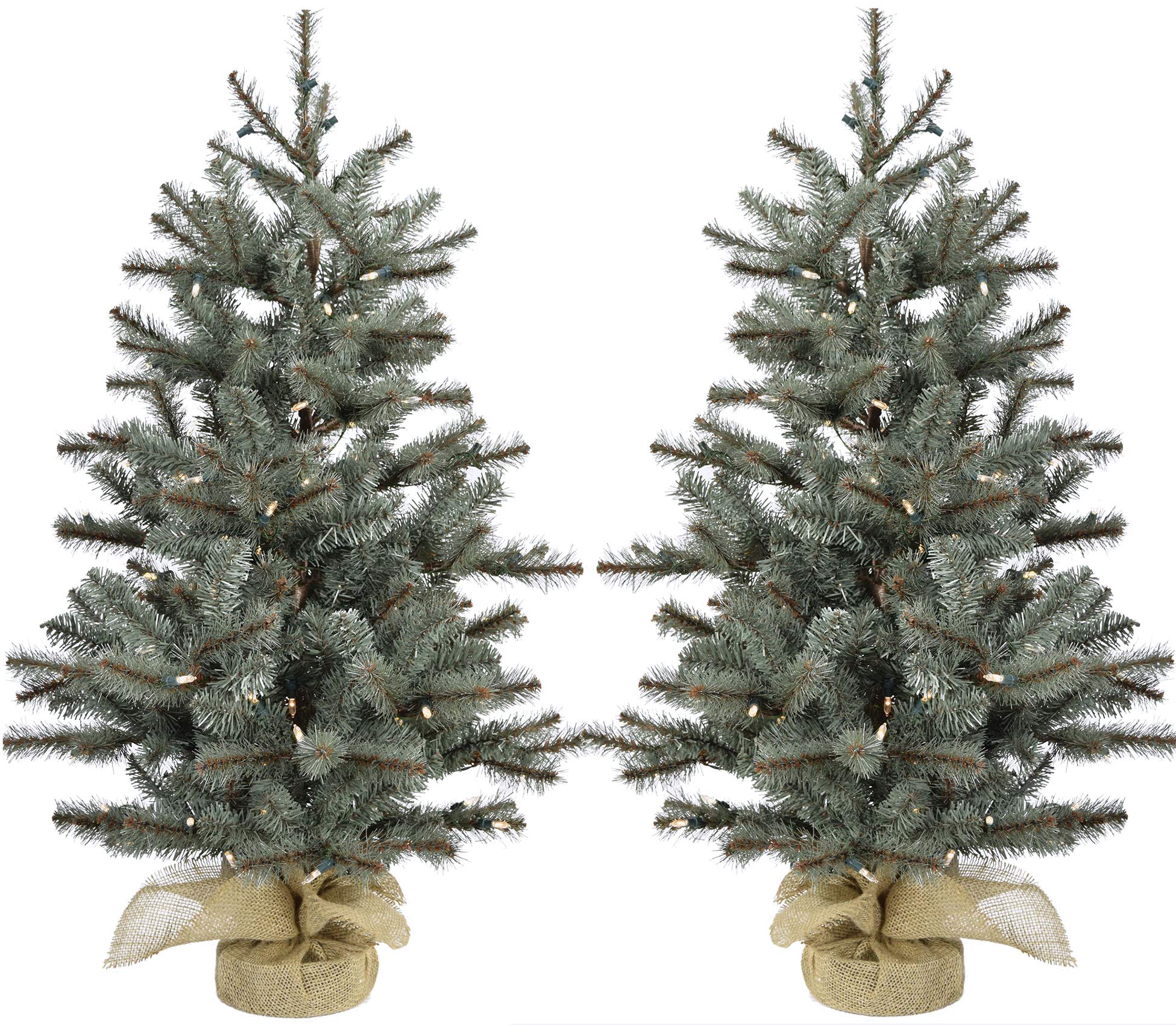 Fraser Hill Farm 4-Foot Pre-Lit Porch Christmas Trees with Clear LED Lights - Perfect for Holiday Decor, Front Porch, and Indoor Festive Displays