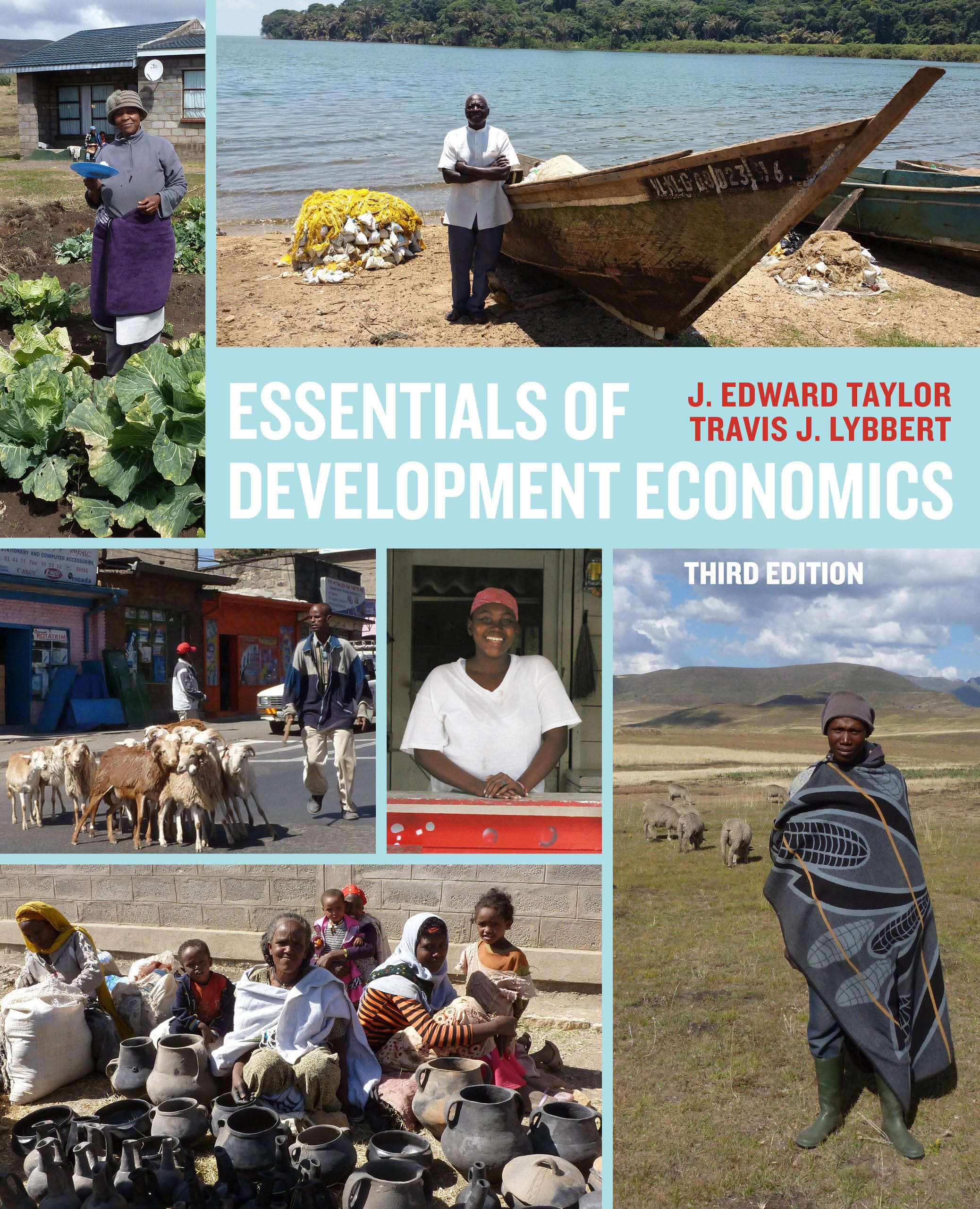 Essentials of Development Economics Textbook - Comprehensive Guide for Students & Researchers | Perfect for Academic Studies, Economic Research & Policy Analysis