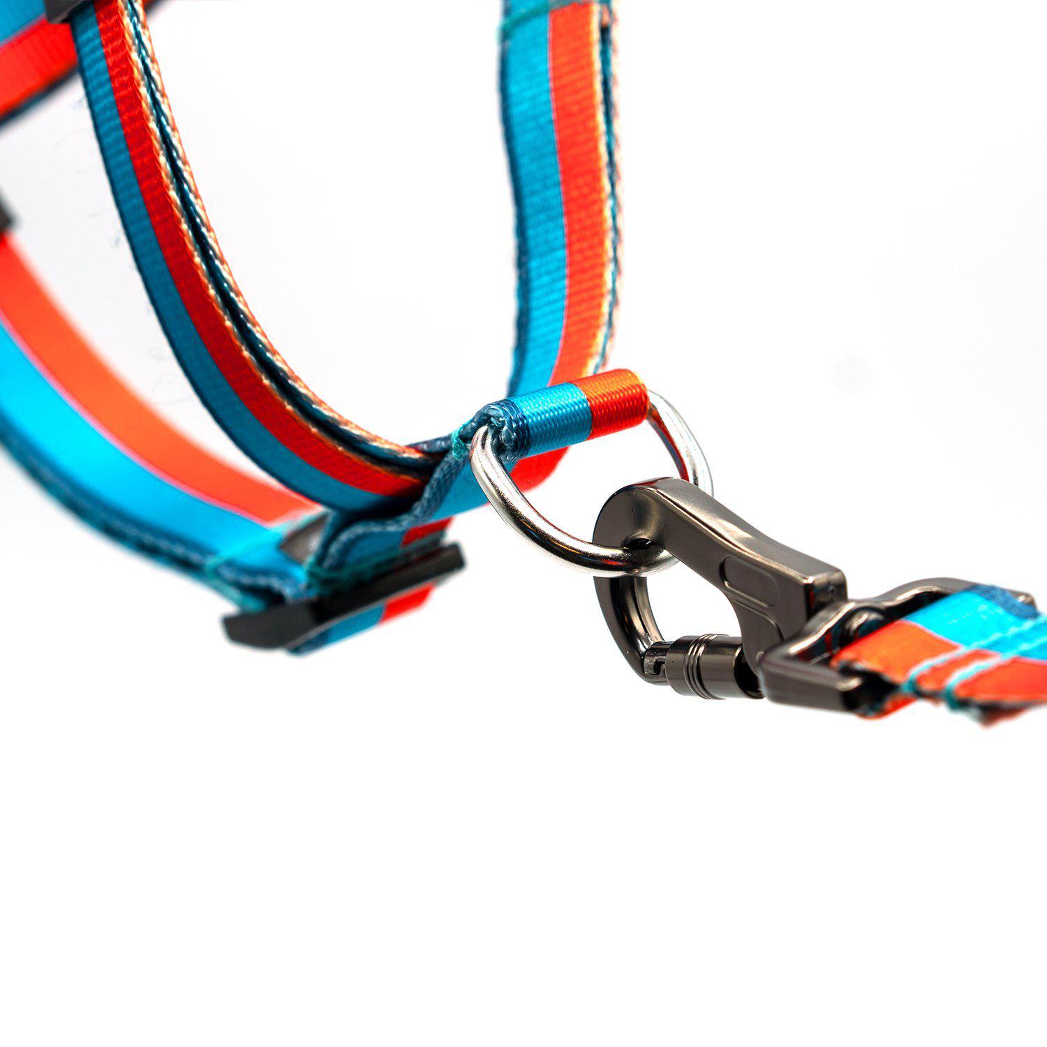 Ikonic Step-In Dog Harness for Small & Medium Breeds - Adjustable & Easy to Use - Perfect for Walking, Running & Outdoor Adventures