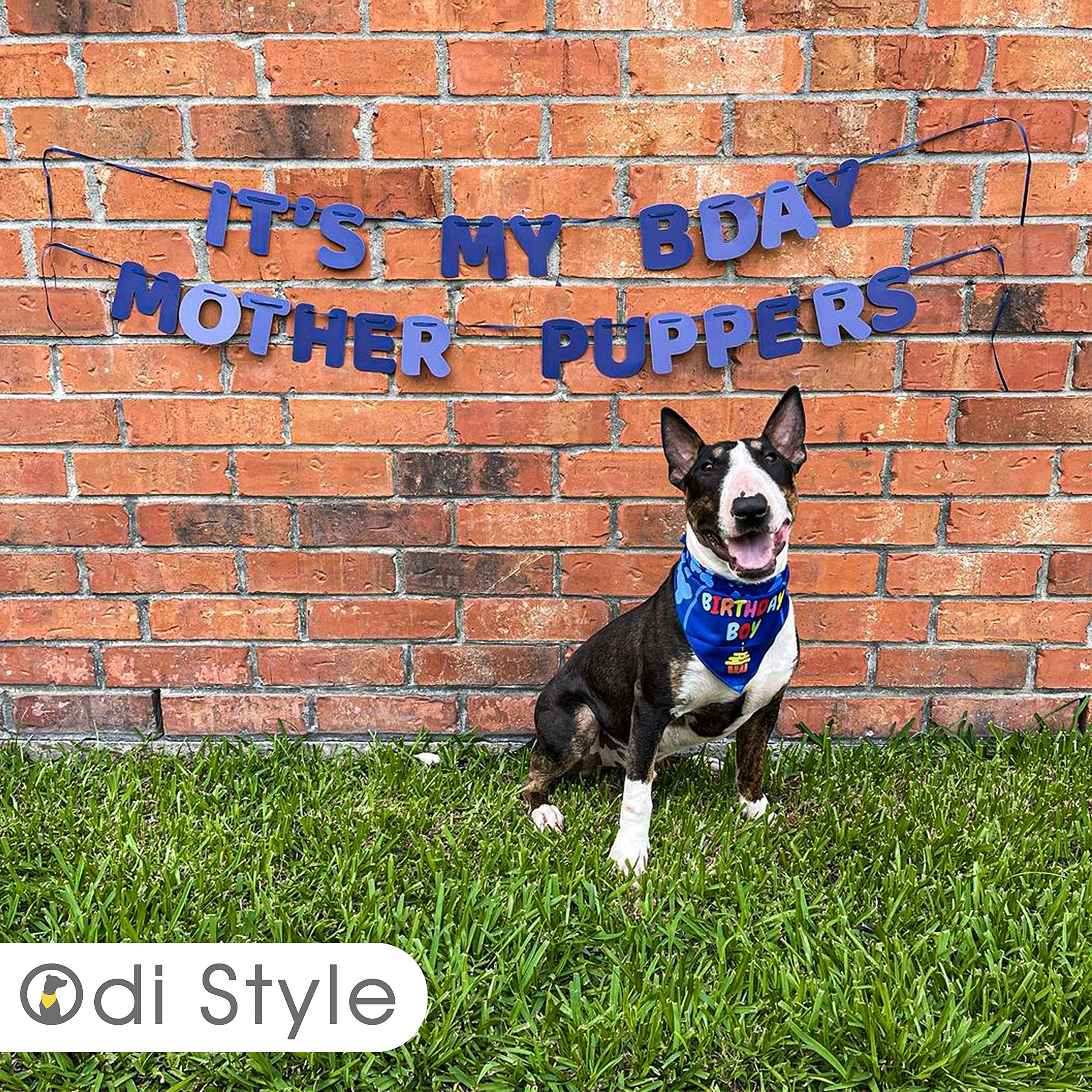 Dog Birthday Party Decorations Set - Birthday Bandana, Hat & Banner for Small Dogs & Puppies - Perfect for Birthday Celebrations & Photo Shoots
