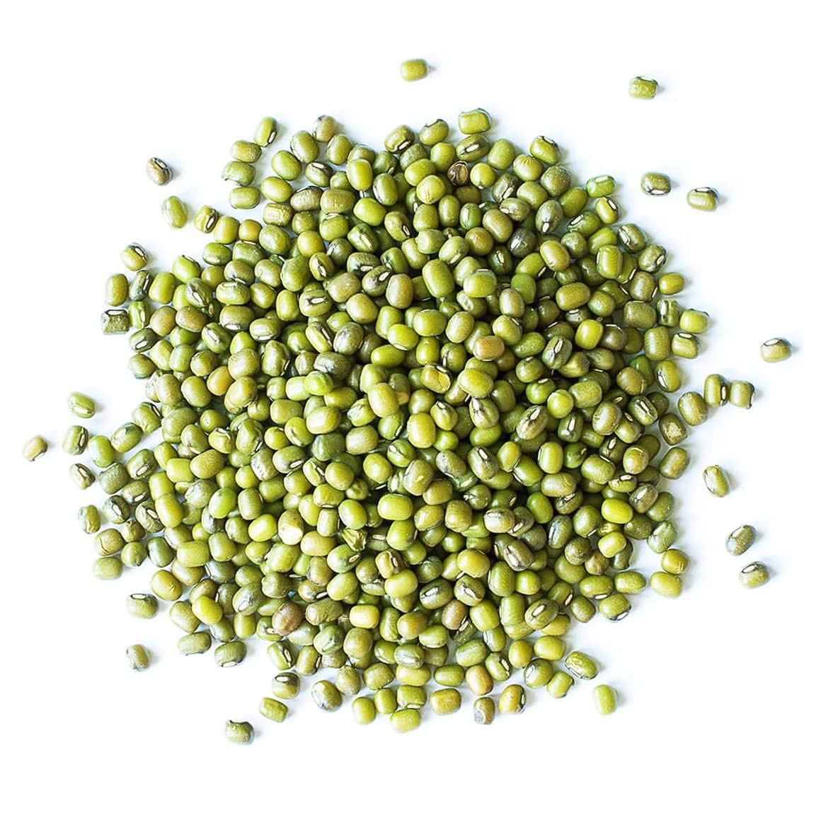 Food to Live - Organic Mung Beans 5lbs | Whole Raw Green Gram | Kosher Vegan Sirtfood | High in Fiber Protein Iron | Perfect for Sprouting, Indian Cooking & Healthy Recipes