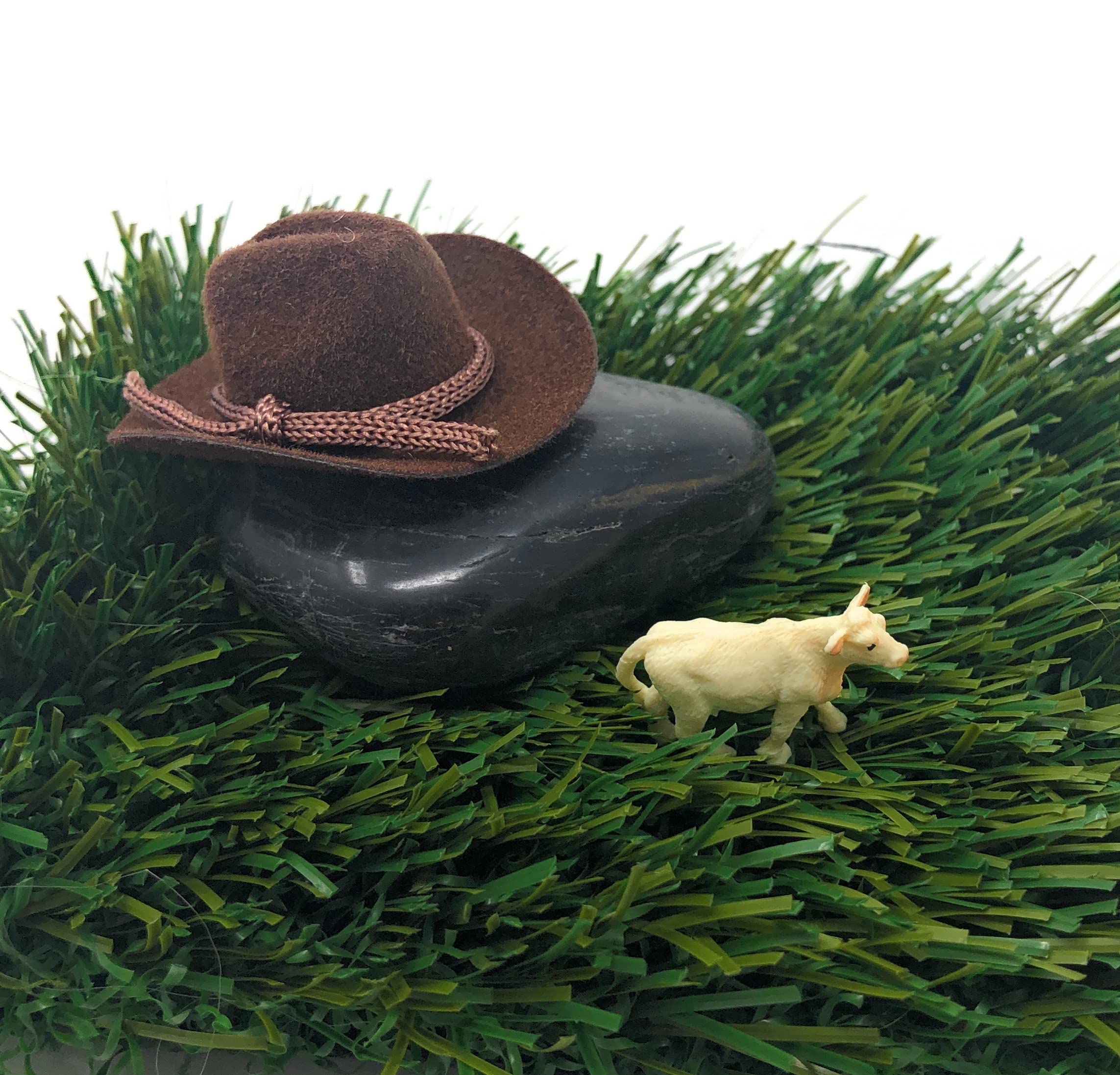 Funny Cowboy Rock Pet with Adoption Certificate - Novelty Gag Gift for Office Desk Decor | Perfect for Prank Gifts, White Elephant Parties & Cowboy-Themed Decorations