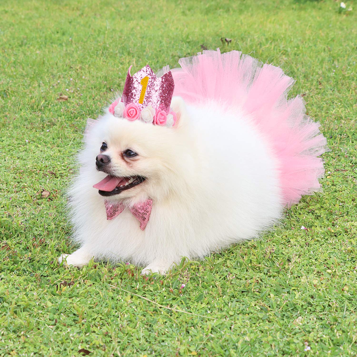 Legendog Dog Tutu Skirt & Birthday Outfit Set - Pink Pet Tutu Dress with Bowtie & Party Hat for Small Dogs - Perfect for Birthday Parties, Photo Shoots & Special Occasions