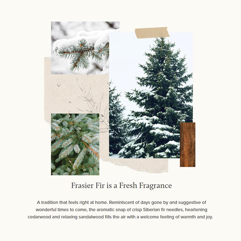 Thymes Frasier Fir Gilded Gold 3-Wick Scented Candle - 17 oz Luxury Holiday Home Fragrance with Crisp Forest Aroma - Elegant Gold Jar Candle for Christmas Decor, Cozy Winter Evenings & Gift Giving