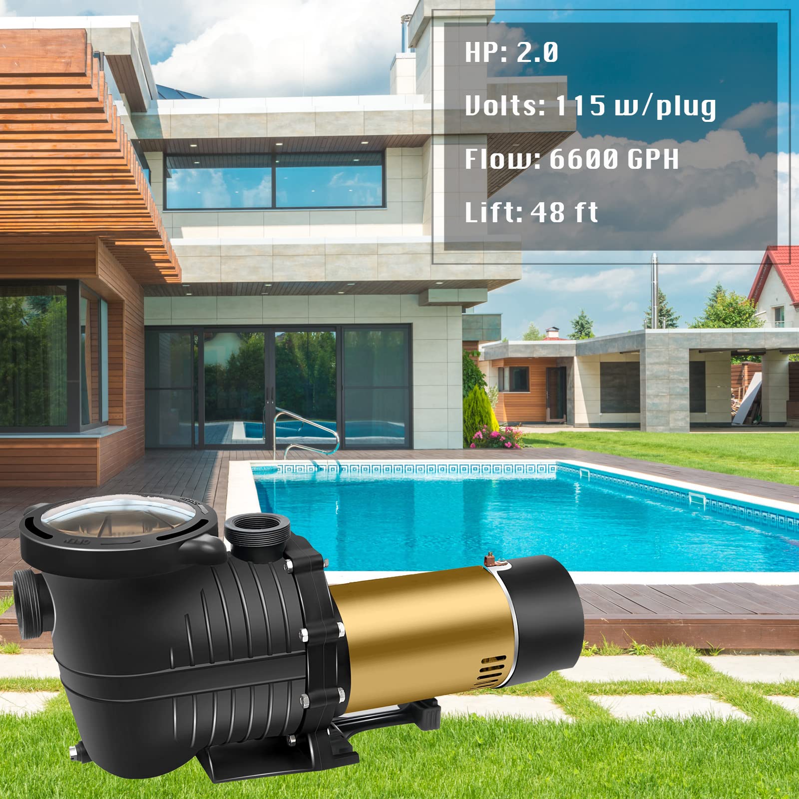 PureBy 2.0HP Energy Efficient Dual Speed Pool Pump - Inground & Above Ground Swimming Pool Circulation System with 1.25'' & 1.5'' NPT Unions (115V Self-Priming) - Perfect for Backyard Pool Maintenance & Water Filtration