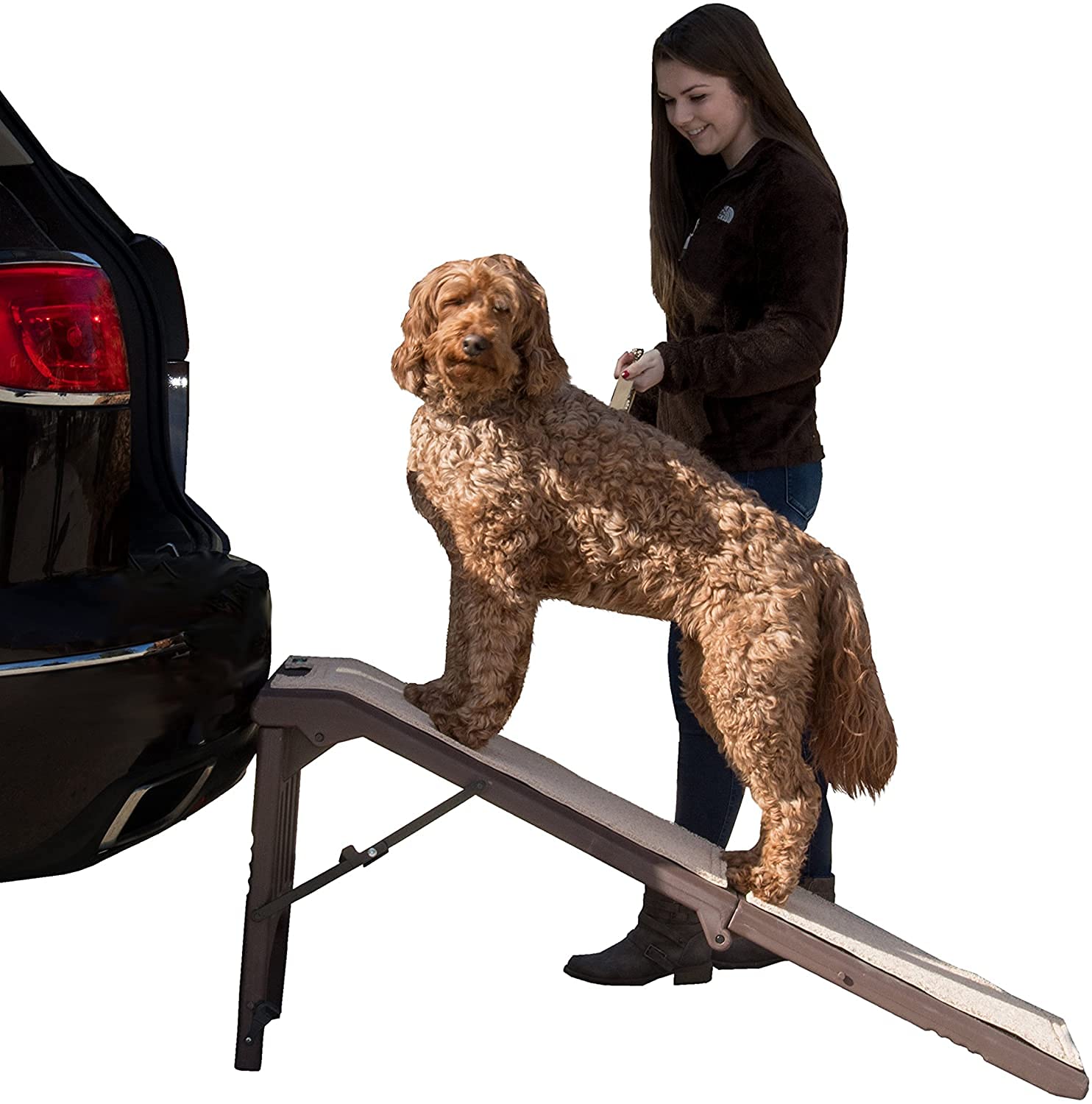 Pet Gear Free Standing Pet Ramp for Cats & Dogs - No Assembly Required, Foldable & Portable for Easy Storage & Travel - 6 Size Options - Perfect for Home, Car & Vet Visits