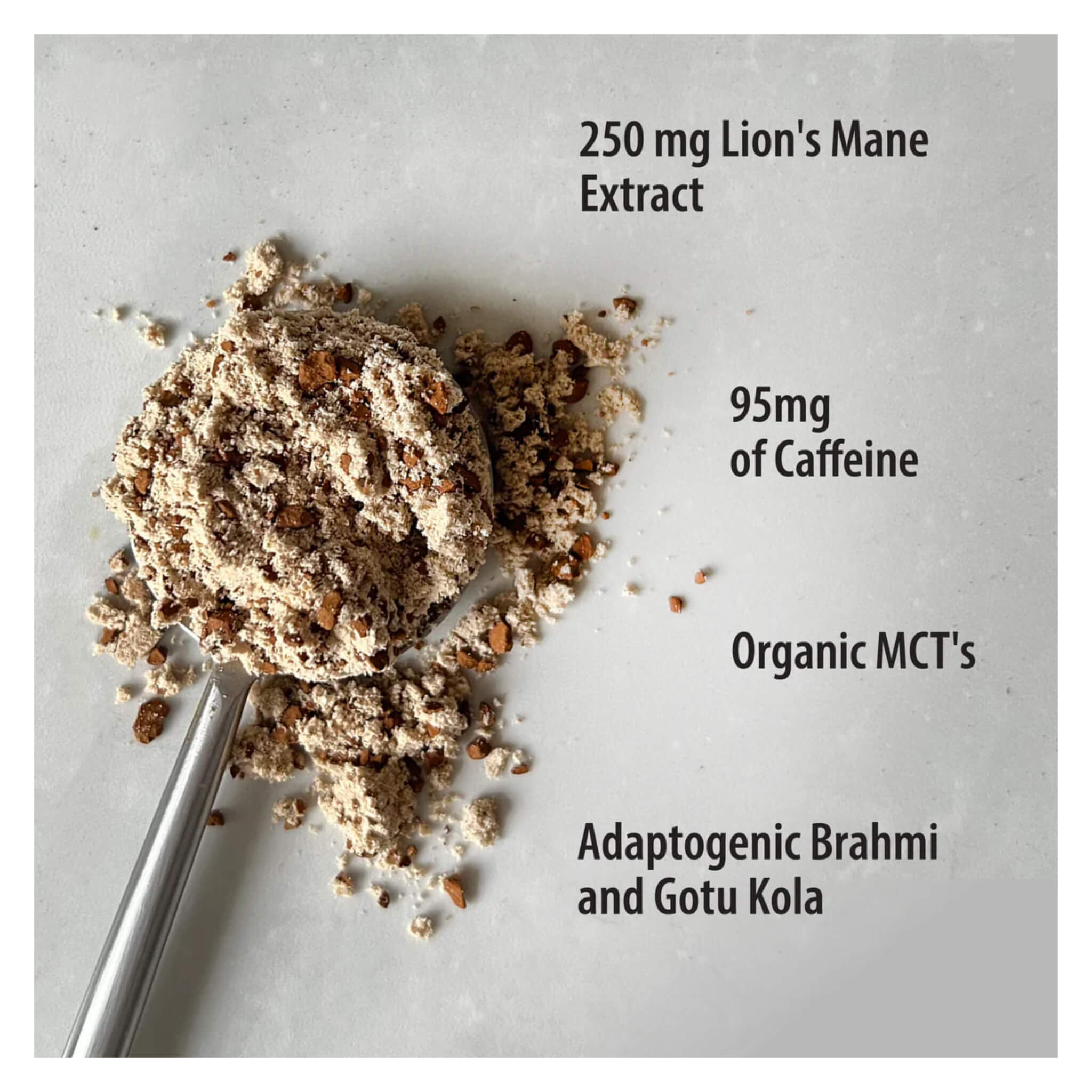 Focus Fuel Instant Mushroom Coffee - Organic Lion's Mane & Chaga Mushroom Blend for Energy & Focus - Perfect for Morning Boost, Work Productivity & Study Sessions