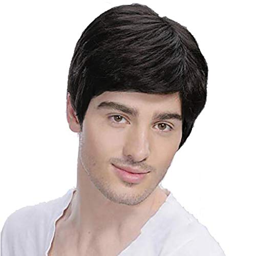 Baruisi Men's Short Black Wig - Natural Looking Synthetic Hair Replacement for Costume, Halloween, Cosplay & Daily Use