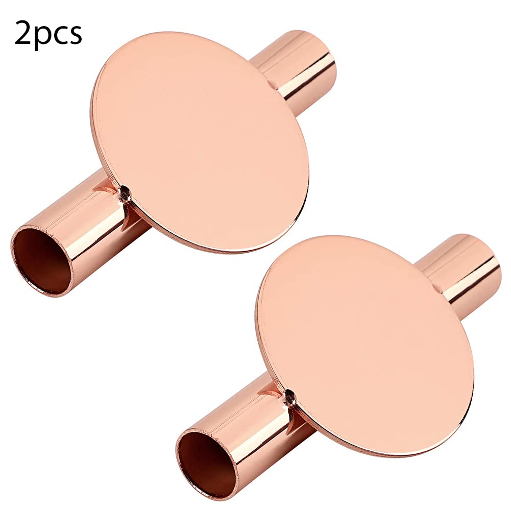 Modern Rose Gold Wall Hanging Planter Propagation Station - 2PCS Wall Mounted Tube Vase for Flowers, Buds & Dried Plants - Elegant Home & Garden Decor for Living Room, Bedroom, Balcony or Wedding Decorations