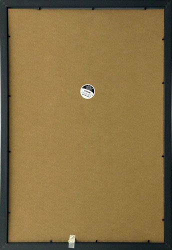 Frame USA Budget Saver Series 20x30 Polystyrene Poster Frames (Black) - Lightweight Wall Decor for Home, Office & Classroom Displays