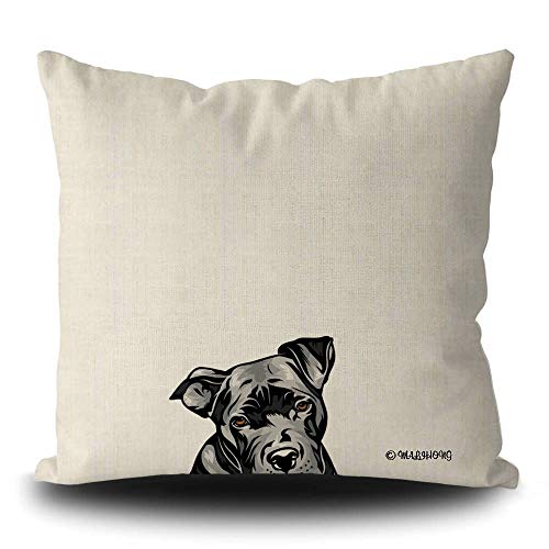 Pit Bull-2