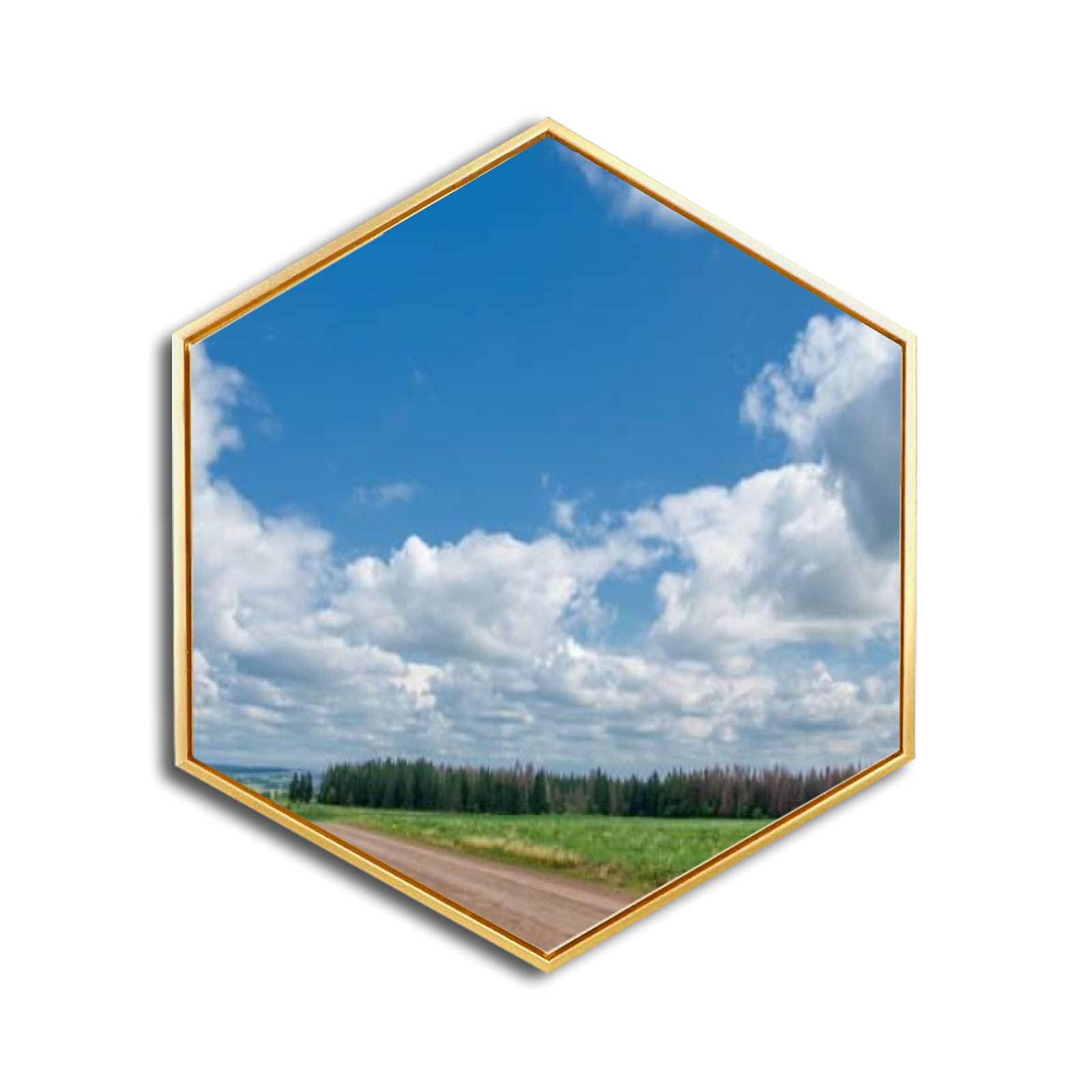 Swamp Summer Golden Framed Canvas Wall Art - Minimalist Modern Giclee Prints - Hexagon Wall Decor for Home & Office - Ready to Hang - Perfect for Living Room, Bedroom & Workspace Decor
