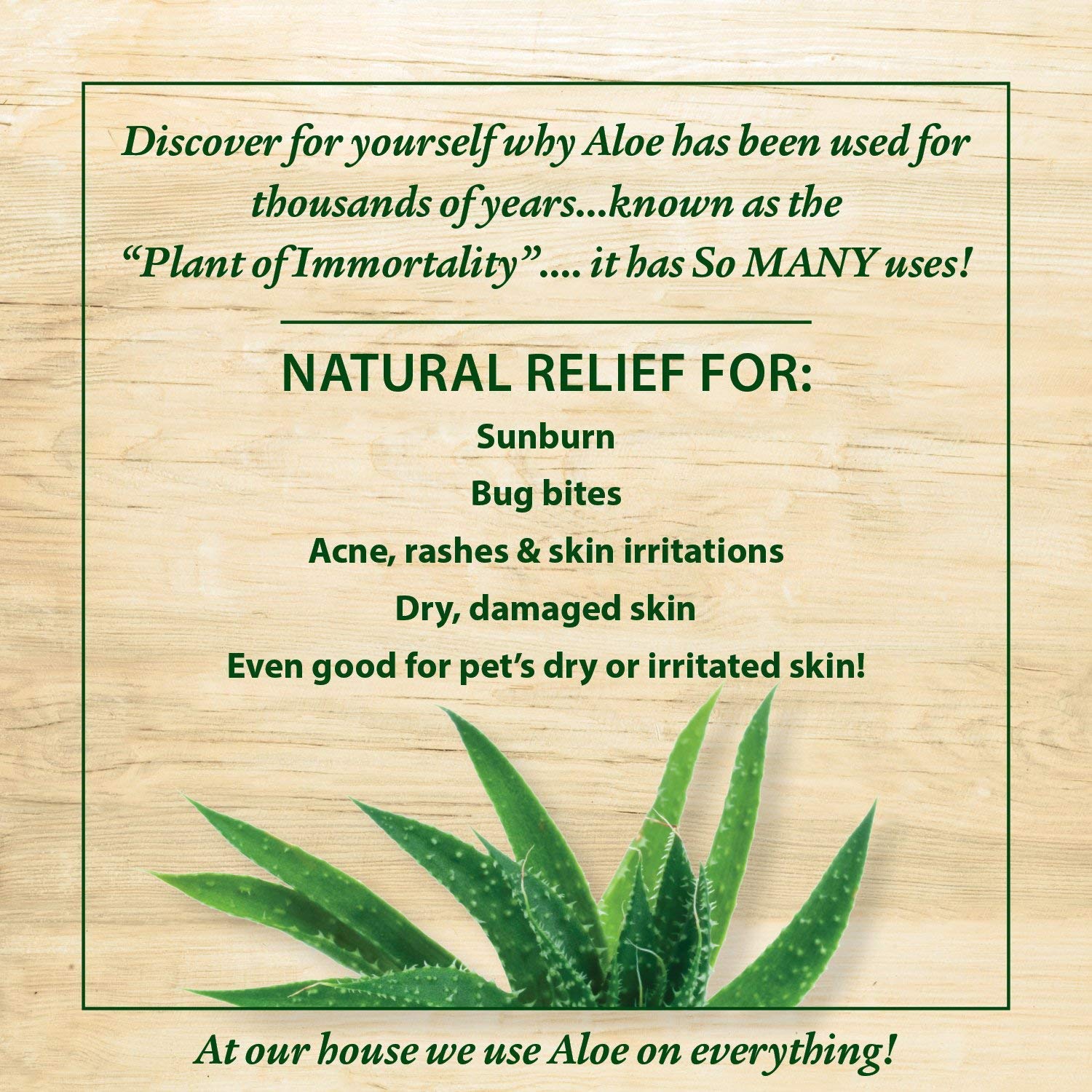 Indus Organics Pure Aloe Vera Gel for Skin & Hair Care - 250ml | Hydrating, Moisturizing & Soothing Gel for Face, Body & Scalp | Perfect for Sunburn Relief, After-Sun Care, Hair Conditioning & Daily Skincare Routine