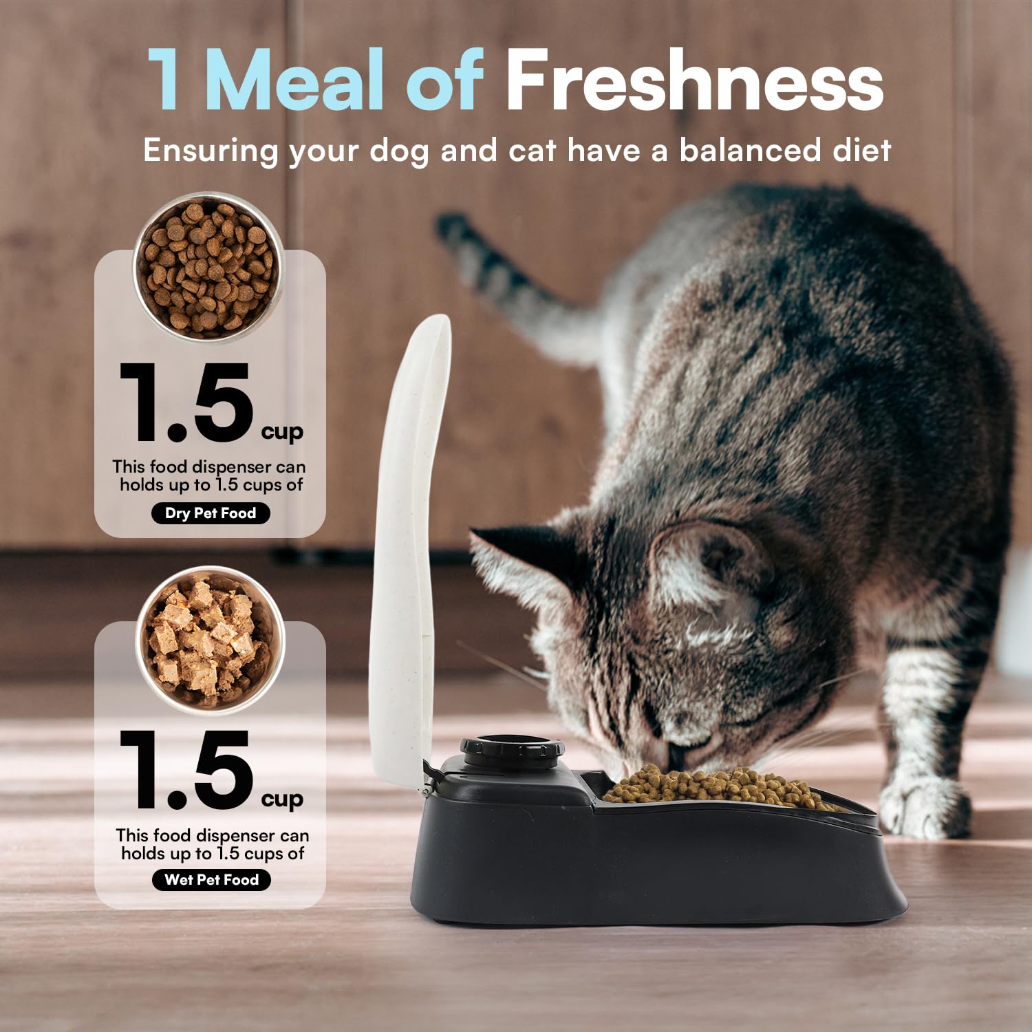 PAWISE Automatic Pet Feeder for Dogs and Cats - 1.5 Cup Smart Food Dispenser with 48-Hour Timer - Perfect for Travel, Workdays & Busy Pet Owners