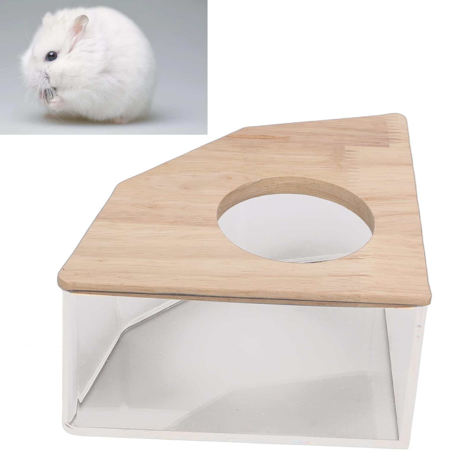 EVTSCAN Hamster Sand Bath Box - Acrylic Small Pet Bathroom with Right Angle Fan for Dwarf Hamsters & Gerbils - Perfect for Cage Cleaning & Playtime