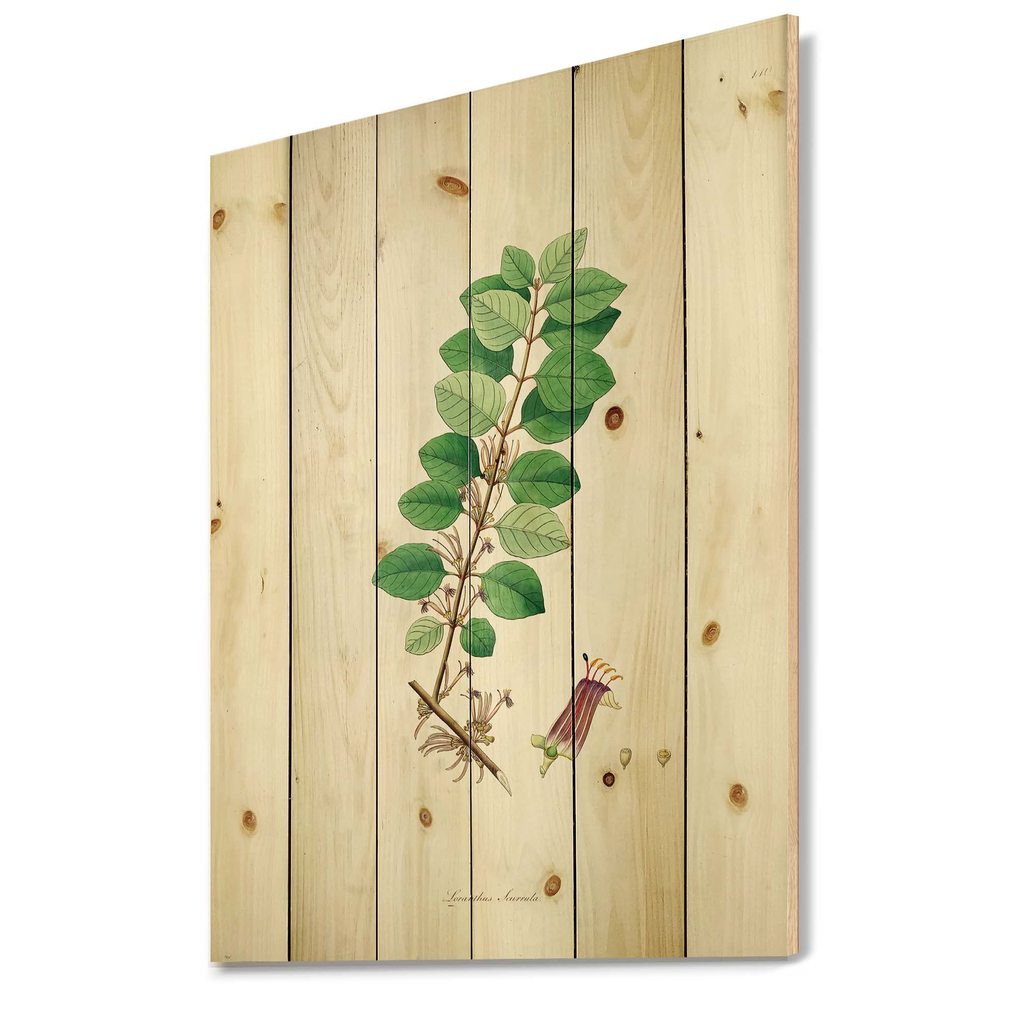 Vintage Farmhouse Wood Wall Decor - Green Floral Wall Art Panels Printed on Natural Pine Wood - Perfect for Living Room, Bedroom, or Kitchen Home Decor