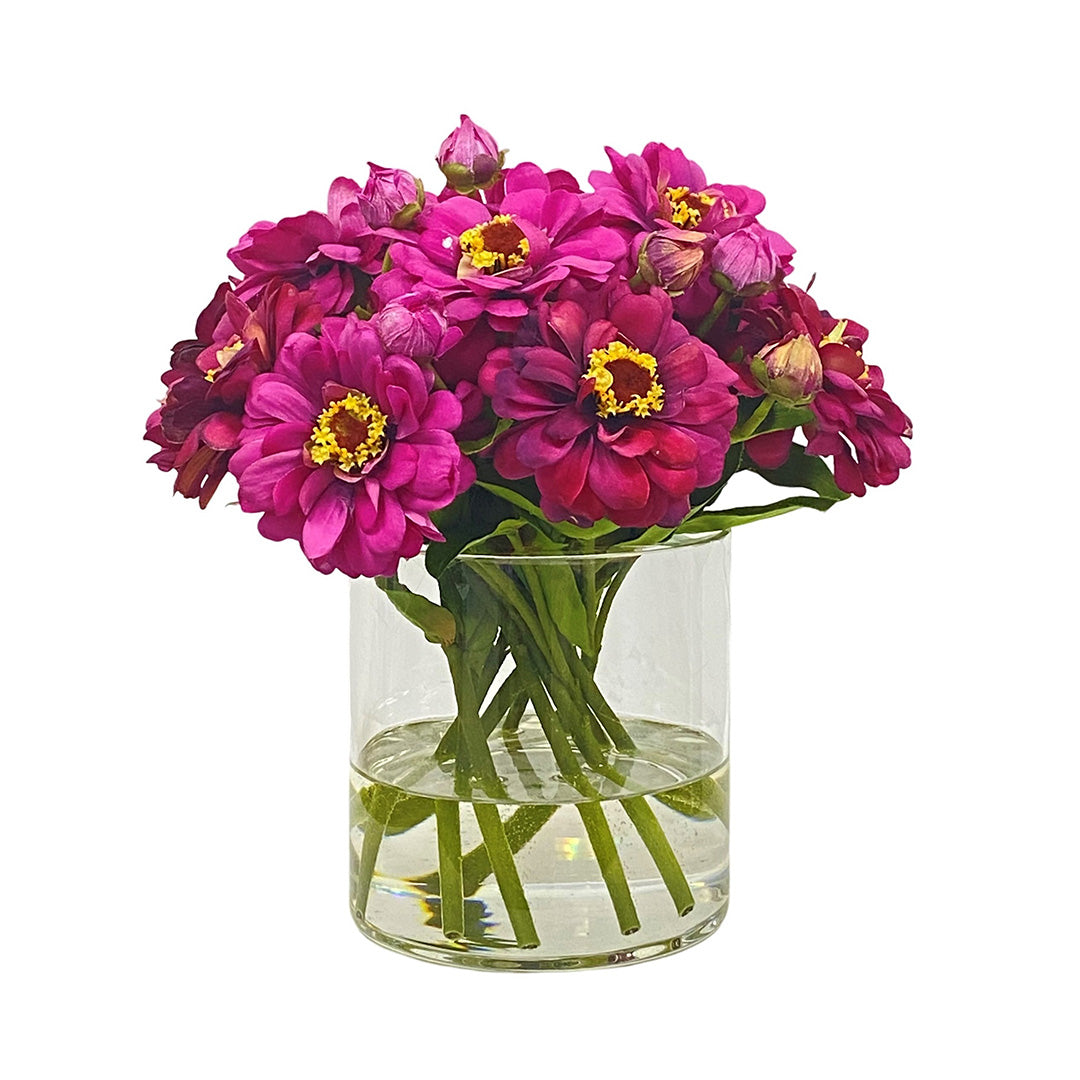 Lucia Fuchsia Zinnia Bouquet - Fresh Cut Flowers for Wedding Centerpieces, Home Decor & Special Occasions