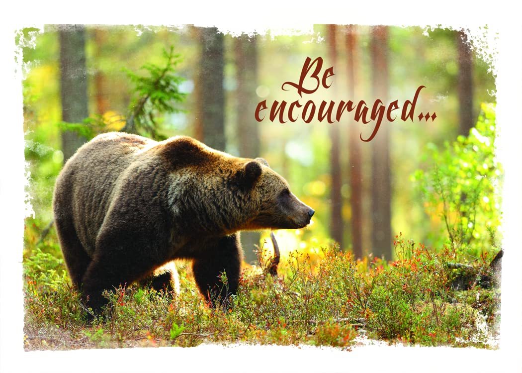 Wild & Free Christian Greeting Cards Box - 12 Bible Verse Cards for All Occasions