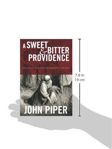 A Sweet and Bitter Providence: Sex, Race, and the Sovereignty of God - Christian Theology Book for Bible Study & Spiritual Growth