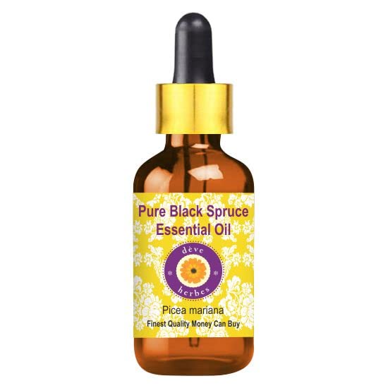 Pure Black Spruce Essential Oil (Picea Mariana) - 2ml Steam Distilled Therapeutic Grade with Glass Dropper - Aromatherapy, Stress Relief & Skin Care for Home & Spa Use