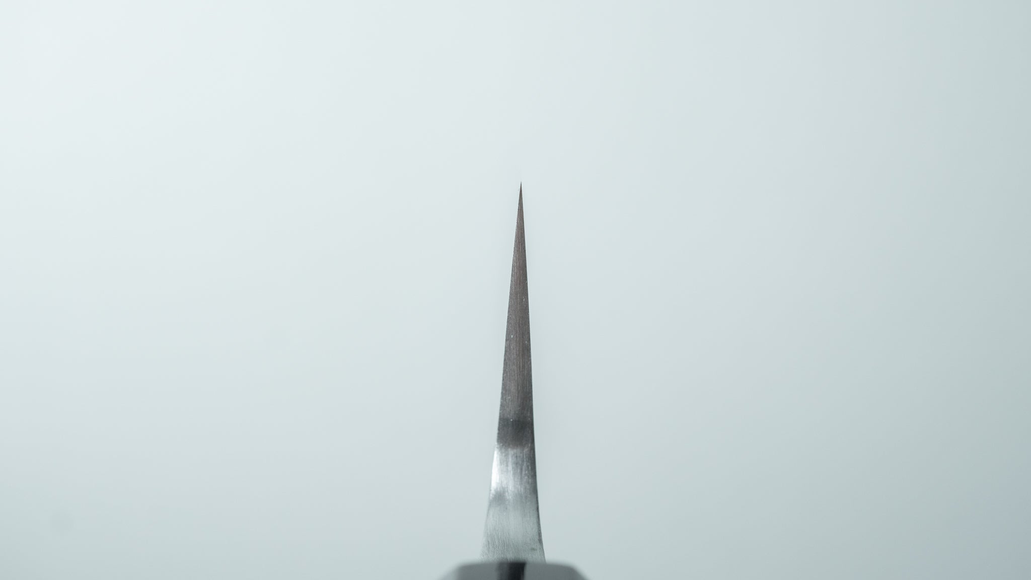 Premium Jiro Tsuchime Wa Sujihiki 270mm Japanese Slicing Knife with Taihei Tagayasan Handle (#487) - Perfect for Sushi, Sashimi & Meat Carving