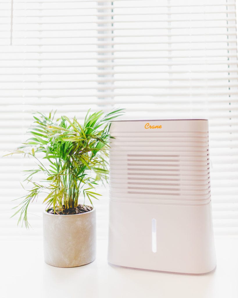 Best Crane Dehumidifier for Home - Powerful Moisture Absorber for Basement, Bedroom & Bathroom - Energy Efficient Quiet Air Dryer for Damp Spaces & Mold Prevention