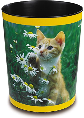 Katze Mit Blume
