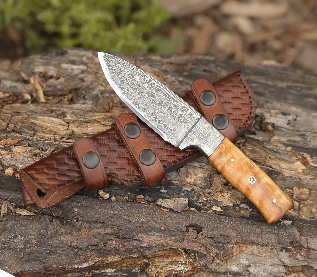 Premium Quantum Camp Knife with Olive Wood Handle - Outdoor Survival, Hunting, Bushcraft - Perfect for Camping, Hiking & Backpacking Adventures